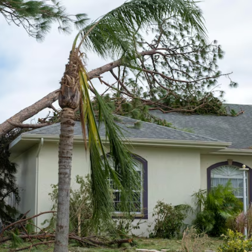 How to Document Storm Damage for a Home Insurance Claim